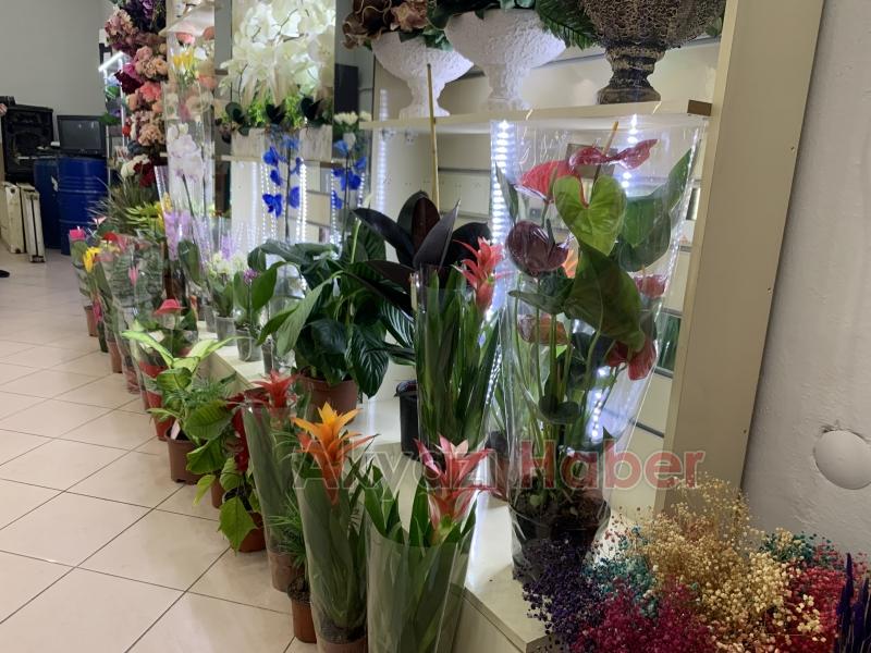 Üstün Hizmet Kalitesiyle Miray Çiçekçilik