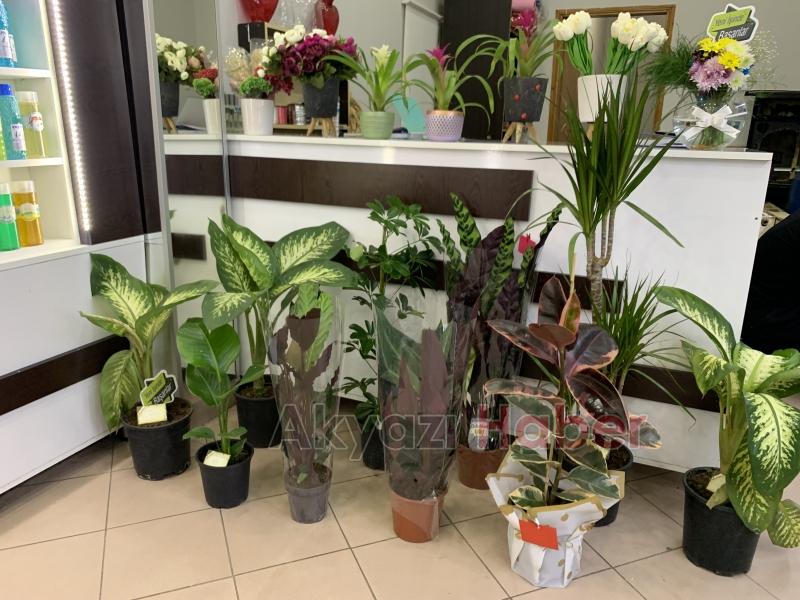 Üstün Hizmet Kalitesiyle Miray Çiçekçilik