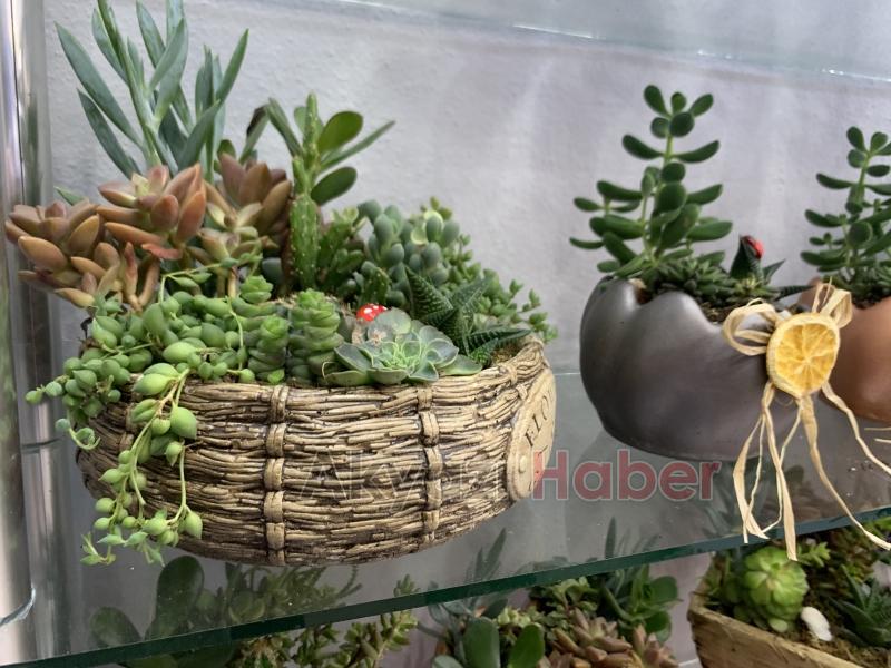 Üstün Hizmet Kalitesiyle Miray Çiçekçilik