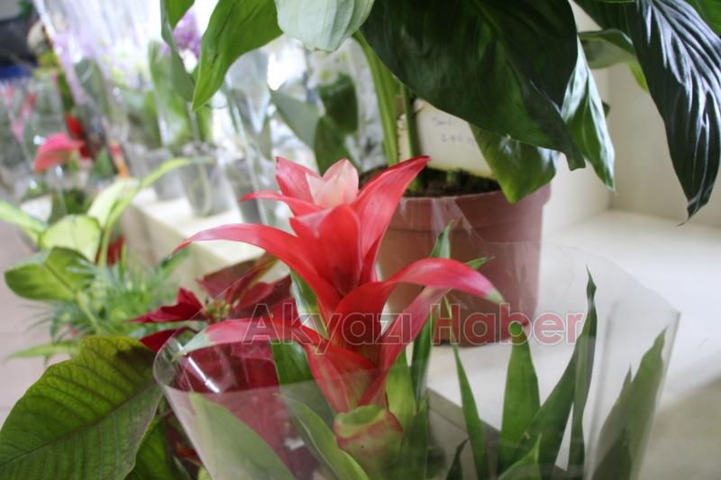 Üstün Hizmet Kalitesiyle Miray Çiçekçilik