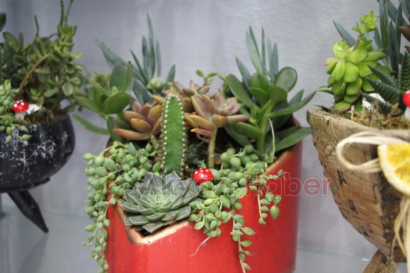 Üstün Hizmet Kalitesiyle Miray Çiçekçilik