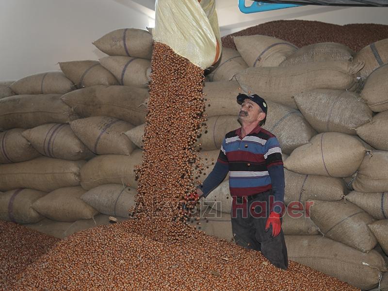 FİSKOBİRLİK Başkanı'ndan TMO açıklaması