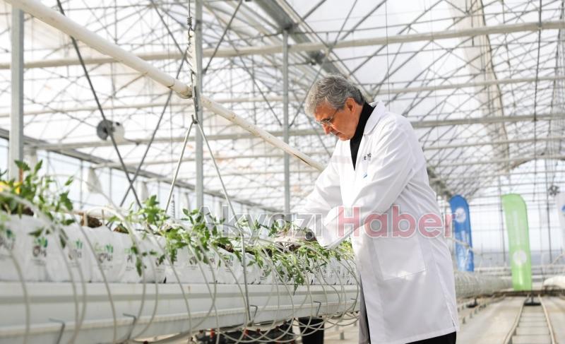 Marmara'nın başkanları Akyazı'da sera merkezini gezdi