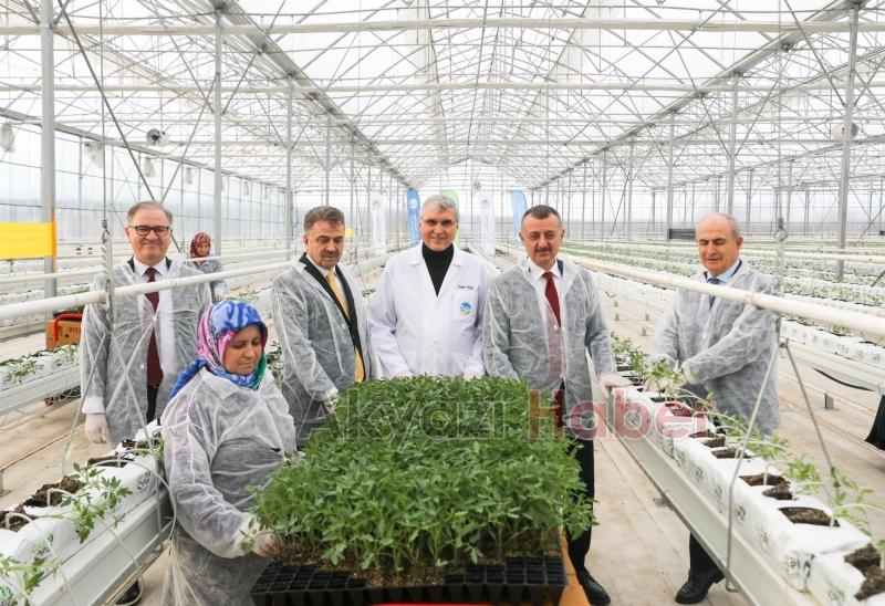 Marmara'nın başkanları Akyazı'da sera merkezini gezdi