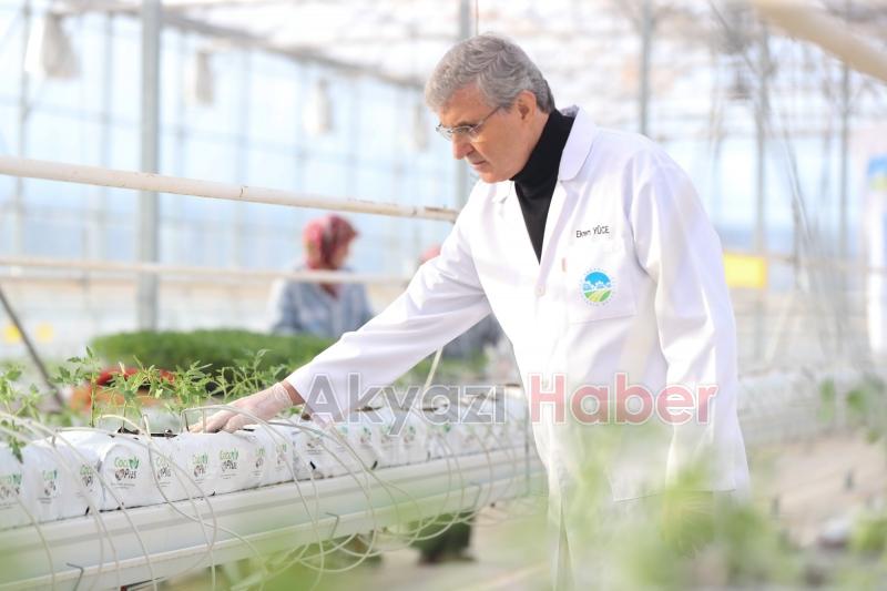 Marmara'nın başkanları Akyazı'da sera merkezini gezdi