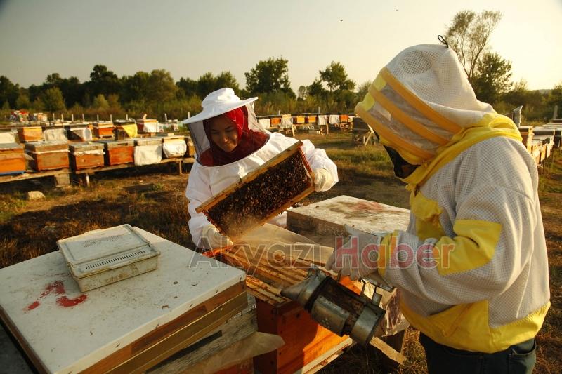 Büyükşehir 1 yılda tam 29 ton bal üretti