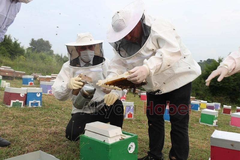 Büyükşehir 1 yılda tam 29 ton bal üretti