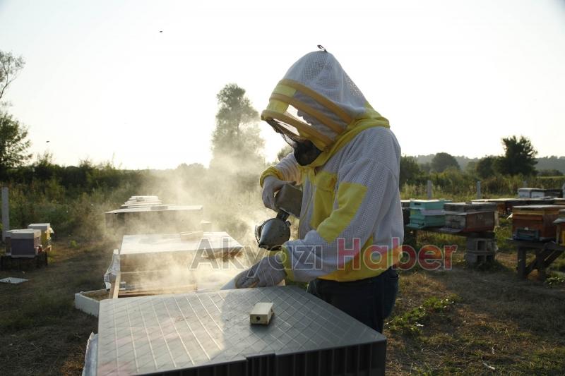 Büyükşehir 1 yılda tam 29 ton bal üretti