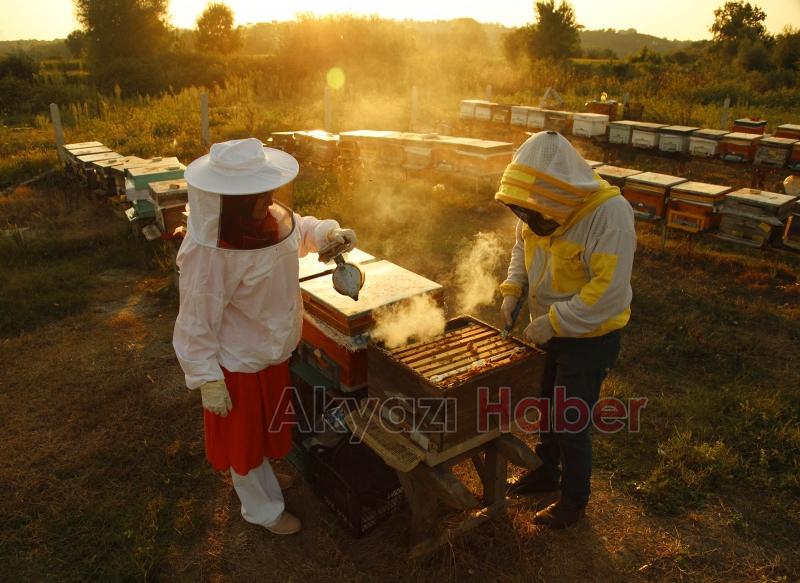 Büyükşehir 1 yılda tam 29 ton bal üretti