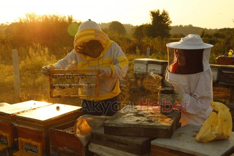 Büyükşehir 1 yılda tam 29 ton bal üretti