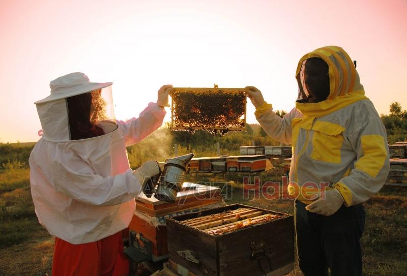 Büyükşehir 1 yılda tam 29 ton bal üretti