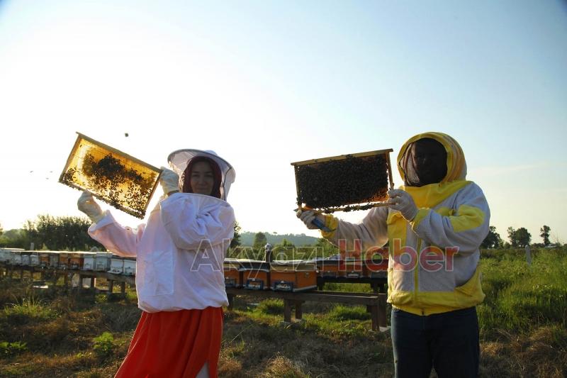 Büyükşehir 1 yılda tam 29 ton bal üretti