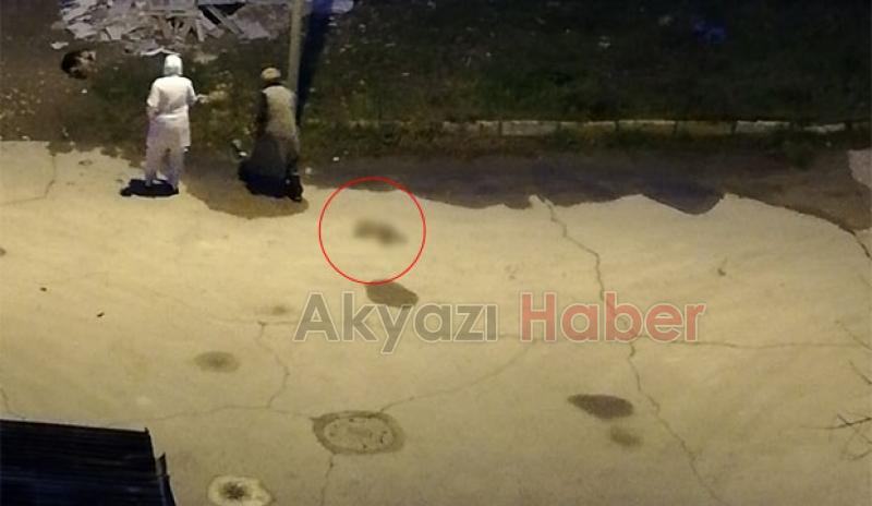 Hastane bahçesinde kediyi boğarak öldürdüler