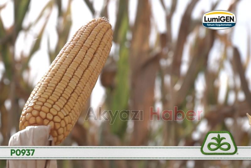 Kılıç Tarım Hizmete Başladı