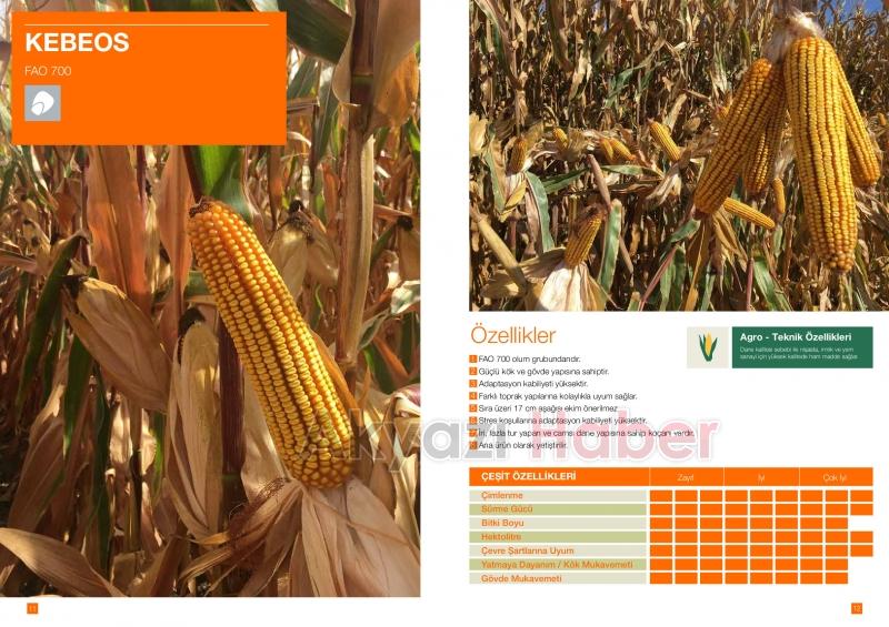 Kılıç Tarım Hizmete Başladı