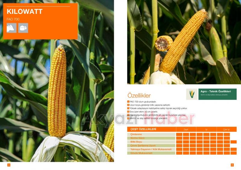 Kılıç Tarım Hizmete Başladı