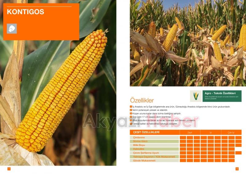 Kılıç Tarım Hizmete Başladı