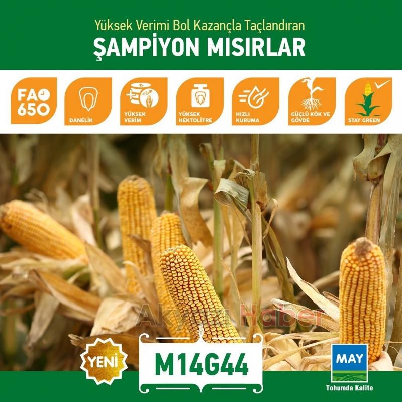 Kılıç Tarım Hizmete Başladı