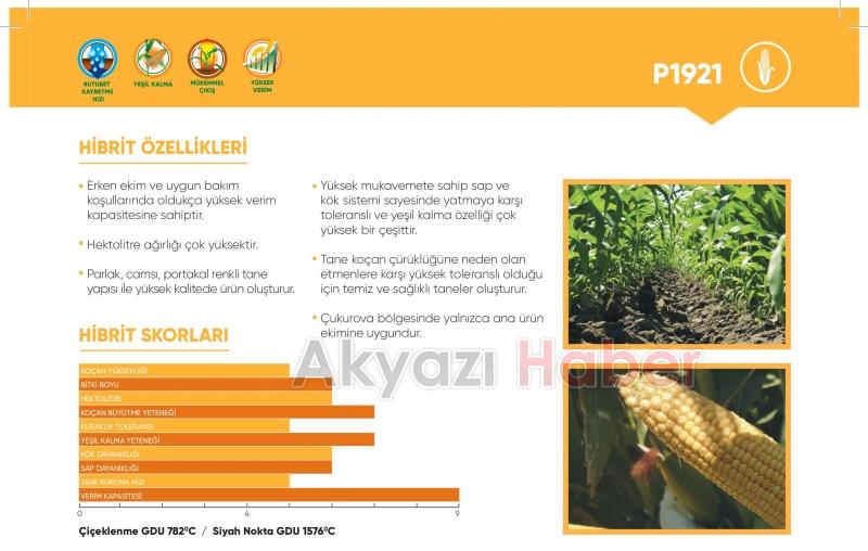 Kılıç Tarım Hizmete Başladı