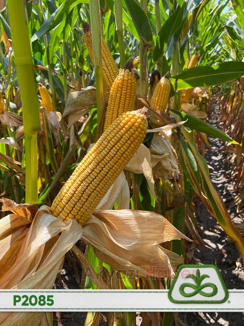 Kılıç Tarım Hizmete Başladı