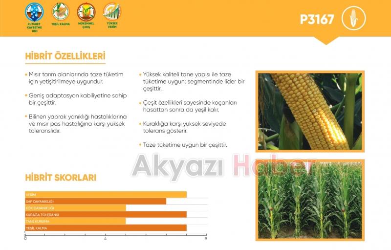 Kılıç Tarım Hizmete Başladı