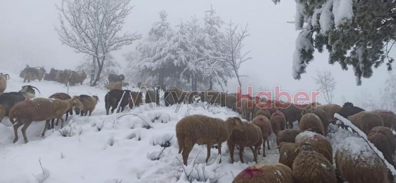 Sakarya'da yüksek kesimlere kar yağdı