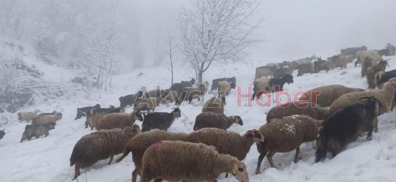 Sakarya'da yüksek kesimlere kar yağdı