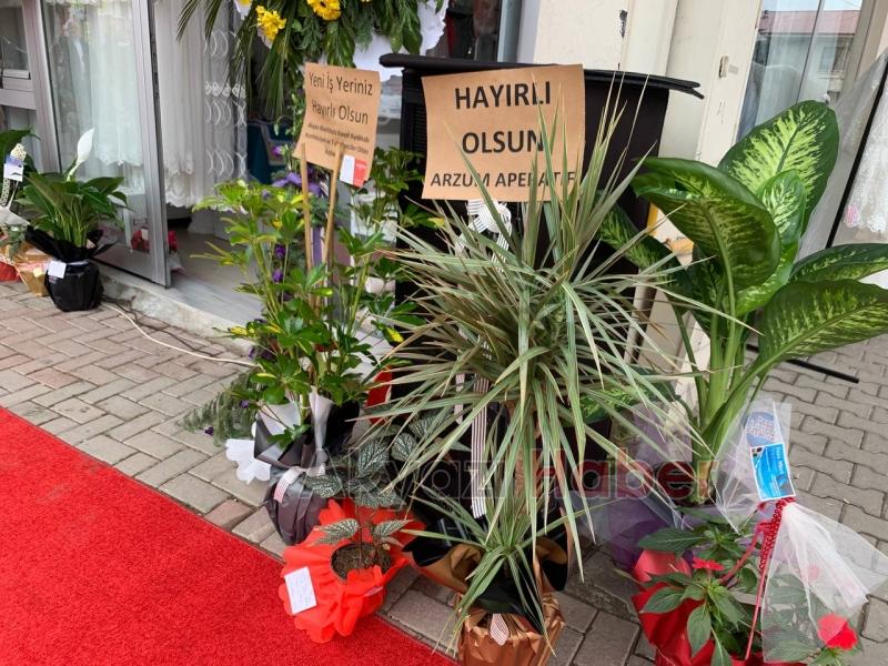 Çeyiz evi açıldı