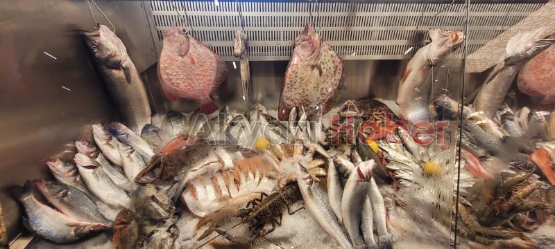 Balıkçı Hüseyin, Sapanca Kırkpınar'da hizmete başladı