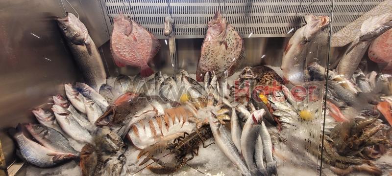 Balıkçı Hüseyin, Sapanca Kırkpınar'da hizmete başladı