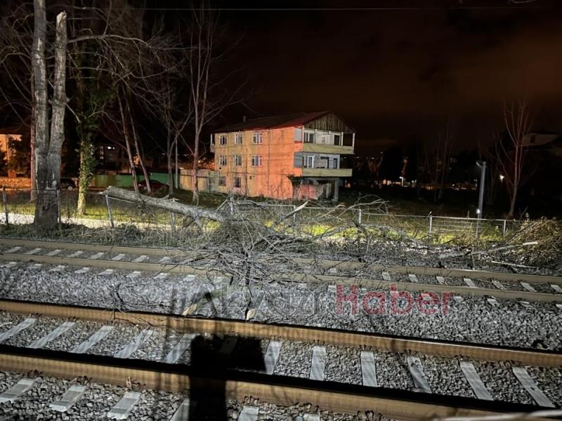 Demir yoluna ağaç devrildi, ulaşım aksadı