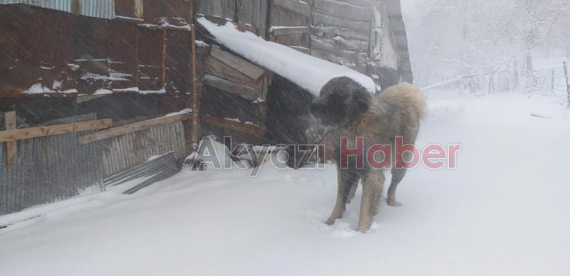 Sakarya’nın yüksek kesimleri beyaza büründü