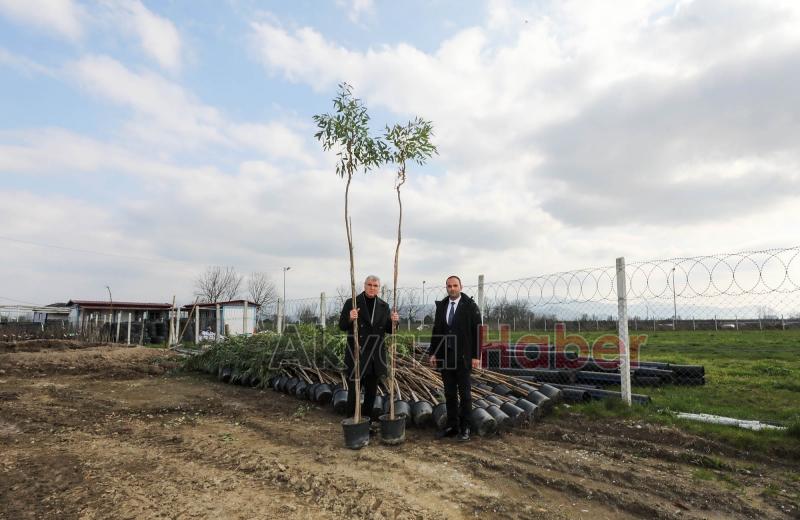 Yüce ilk rakamları açıkladı