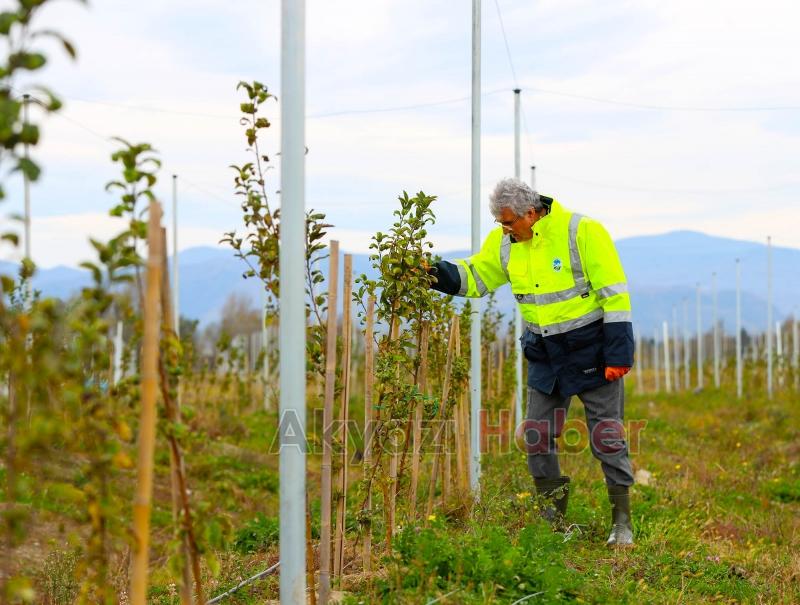Yüce ilk rakamları açıkladı
