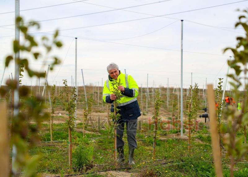 Yüce ilk rakamları açıkladı