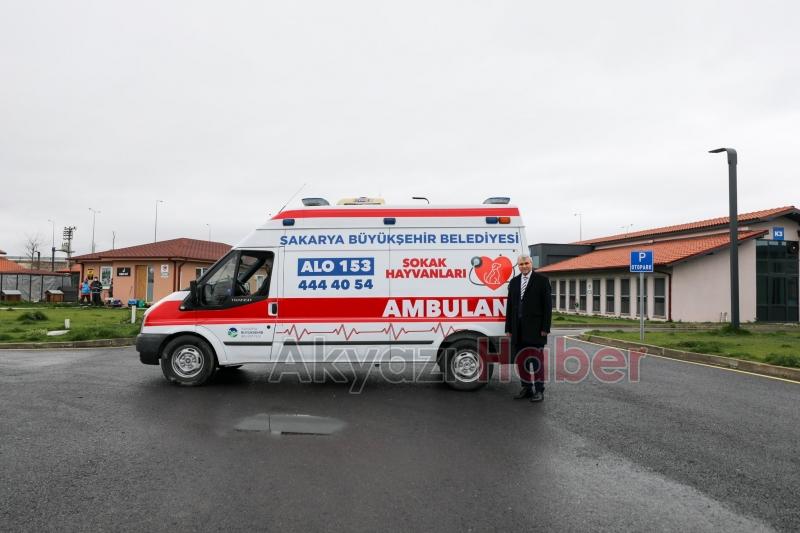 Sokak hayvanları için ambulans