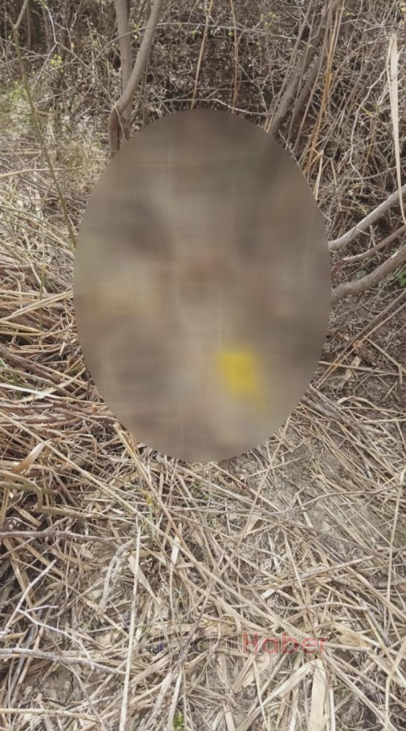 Arkadaş katili Sakarya'da inşaatta çalışırken yakalandı