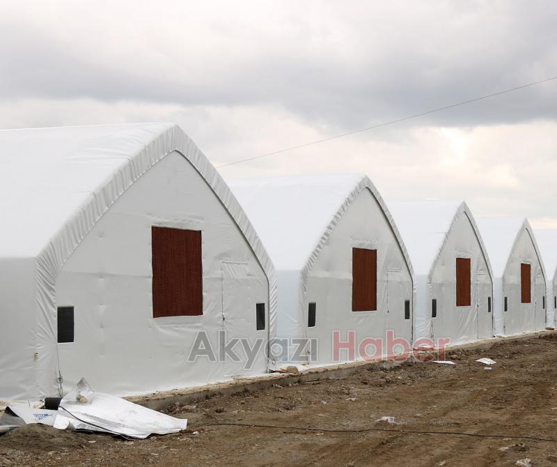 Büyükşehir mantar üretiminde vites yükseltti