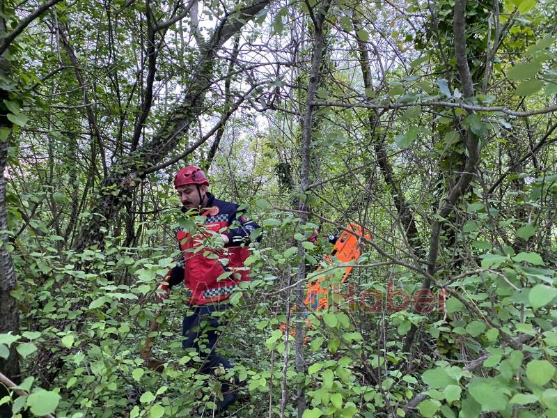 Ormanlık alanda mahsur kalan küçükbaş hayvan, itfaiye ekiplerince kurtarıldı.