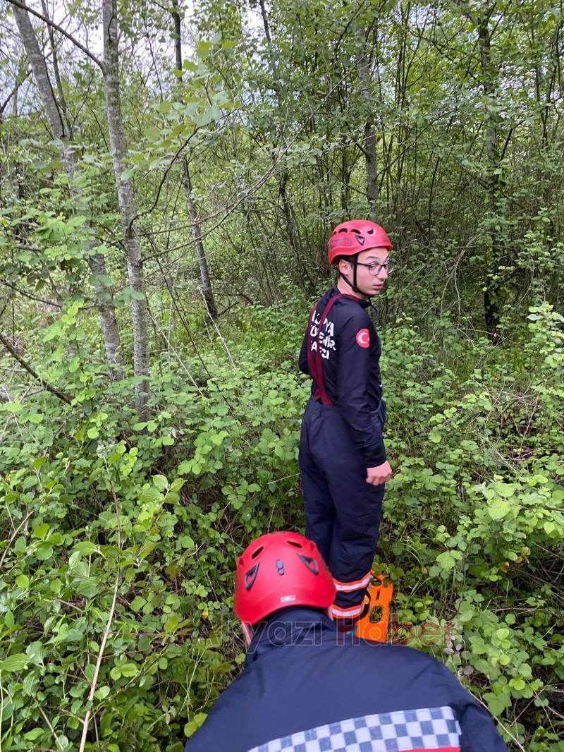 Ormanlık alanda mahsur kalan küçükbaş hayvan, itfaiye ekiplerince kurtarıldı.