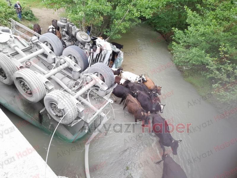 Akyazı'da Kaza Tır Dereye Uçtu 1 Yaralı