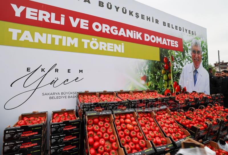Başkan Yüce: Seracılık Mükemmeliyet Merkezi Türkiye’de örnektir