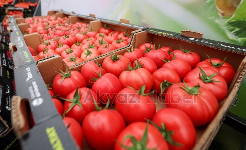 Başkan Yüce: Seracılık Mükemmeliyet Merkezi Türkiye’de örnektir