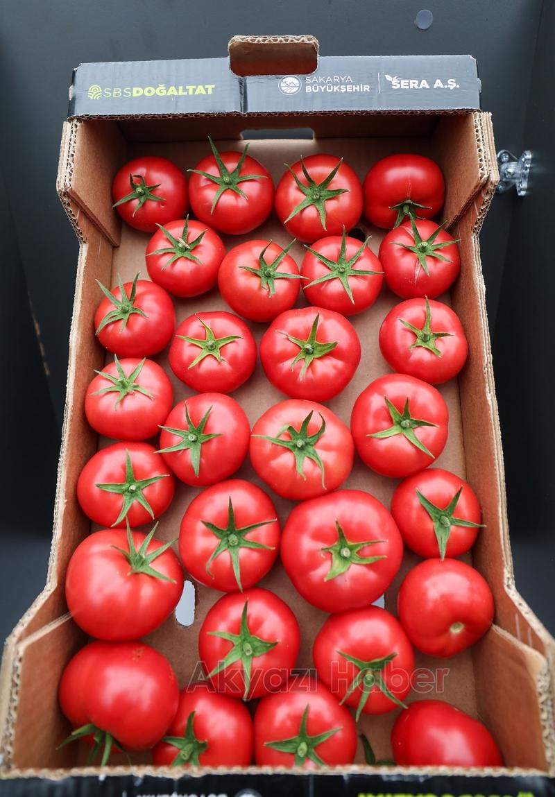 Başkan Yüce: Seracılık Mükemmeliyet Merkezi Türkiye’de örnektir