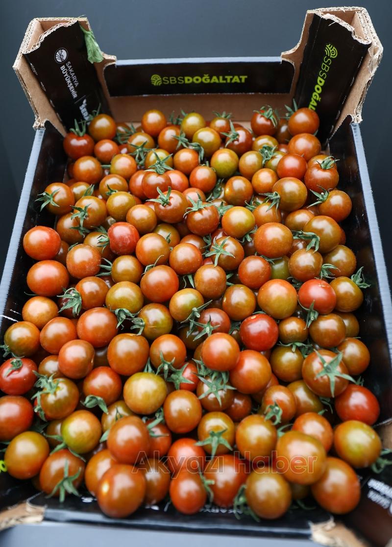 Başkan Yüce: Seracılık Mükemmeliyet Merkezi Türkiye’de örnektir