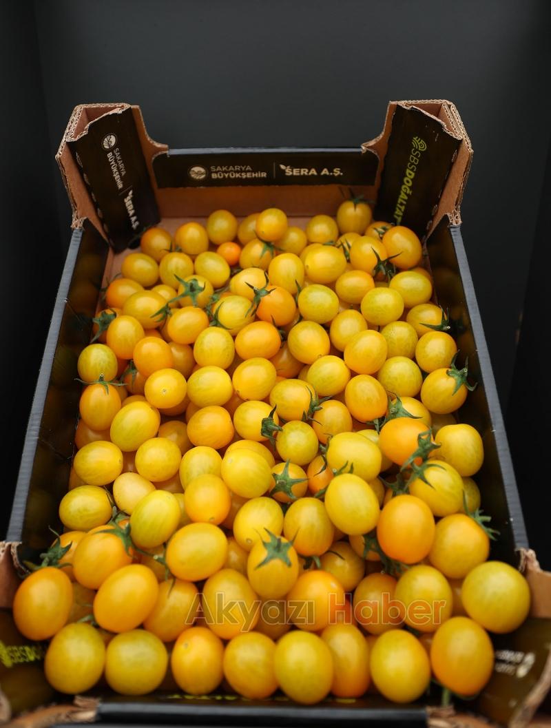 Başkan Yüce: Seracılık Mükemmeliyet Merkezi Türkiye’de örnektir