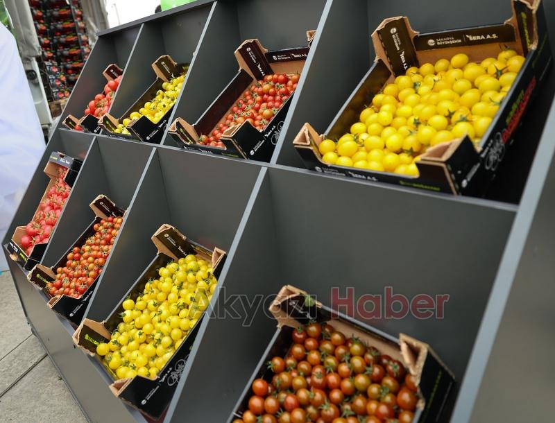 Başkan Yüce: Seracılık Mükemmeliyet Merkezi Türkiye’de örnektir