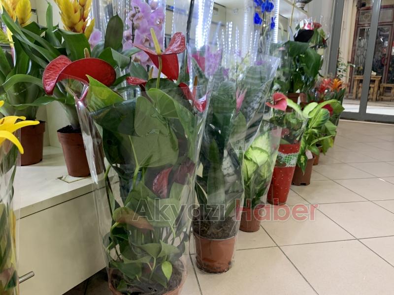 Anneler Gününe Özel Çiçekler, Miray Çiçekçilik'te