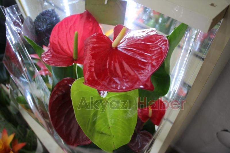 Anneler Gününe Özel Çiçekler, Miray Çiçekçilik'te