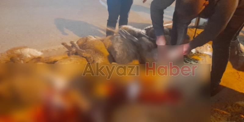 Akyazılı iş adamı Ömer Peker'den zafer kutlaması